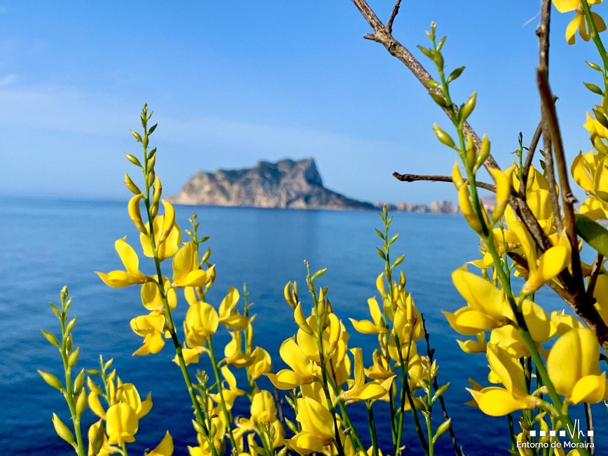 Villa VH CostaBlanca - CARMEN Moraira Esterno foto
